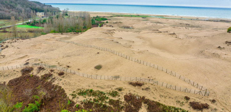 Kızılkum Doğa Koruma Alanı